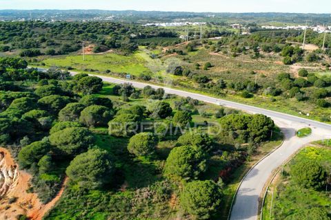 Helårsgrund i Castro Marim, Faro, Castro Marim - € 26.000.000 | Ref: 049648 - foto 15