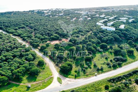 Helårsgrund i Castro Marim, Faro, Castro Marim - € 26.000.000 | Ref: 049648 - foto 17