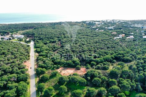 Helårsgrund i Castro Marim, Faro, Castro Marim - € 26.000.000 | Ref: 049648 - foto 18