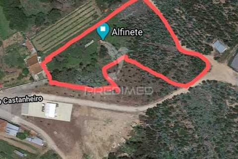 Helårsgrund i Agueda, Aveiro, Agueda - € 55.000 | Ref: 049773 - foto 1