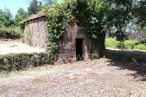 Helårsgrund i Agueda, Aveiro, Agueda - € 55.000 | Ref: 049773 - foto 2