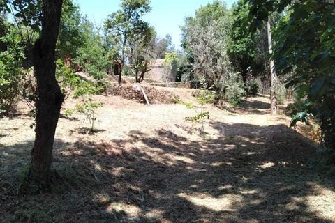 Helårsgrund i Agueda, Aveiro, Agueda - € 55.000 | Ref: 049773 - foto 3