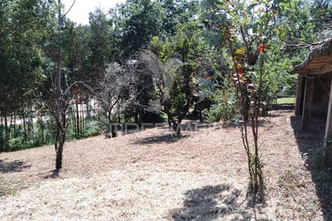 Helårsgrund i Agueda, Aveiro, Agueda - € 55.000 | Ref: 049773 - foto 4