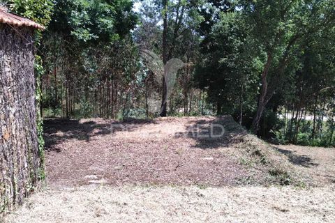 Helårsgrund i Agueda, Aveiro, Agueda - € 55.000 | Ref: 049773 - foto 7