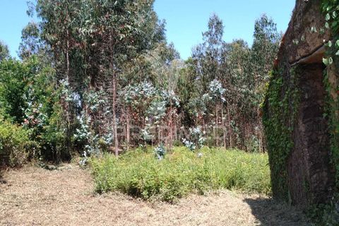 Helårsgrund i Agueda, Aveiro, Agueda - € 55.000 | Ref: 049773 - foto 8