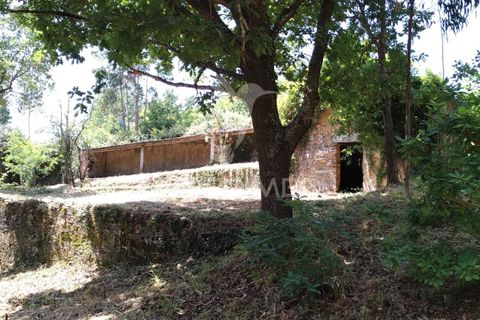 Helårsgrund i Agueda, Aveiro, Agueda - € 55.000 | Ref: 049773 - foto 9