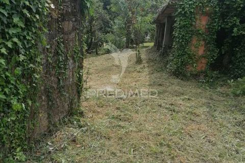 Helårsgrund i Agueda, Aveiro, Agueda - € 55.000 | Ref: 049773 - foto 10