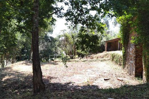 Helårsgrund i Agueda, Aveiro, Agueda - € 55.000 | Ref: 049773 - foto 12