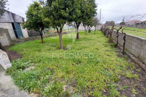 Byhus i Oliveira do Bairro, Aveiro, Oliveira do Bairro - € 300.000 | Ref: 050679 - foto 23