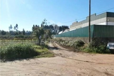 Helårsgrund i Agueda, Aveiro, Agueda - € 35.000 | Ref: 050689 - foto 2