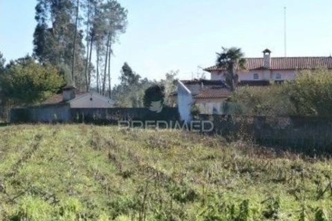Helårsgrund i Agueda, Aveiro, Agueda - € 35.000 | Ref: 050689 - foto 3