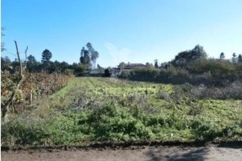 Helårsgrund i Agueda, Aveiro, Agueda - € 35.000 | Ref: 050689 - foto 4