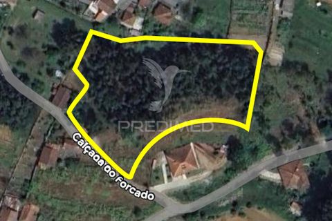 Helårsgrund i Amarante, Porto, Amarante - € 82.500 | Ref: 050914 - foto 1