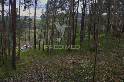 Helårsgrund i Amarante, Porto, Amarante - € 82.500 | Ref: 050914 - foto 4