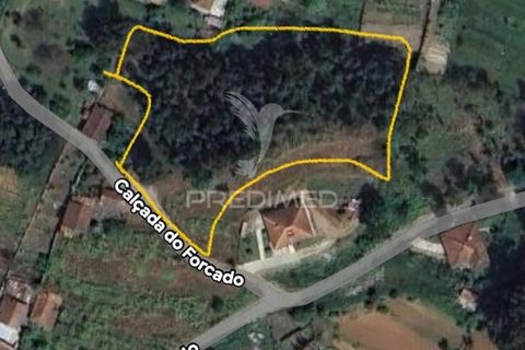 Helårsgrund i Amarante, Porto, Amarante - € 82.500 | Ref: 050914 - foto 5