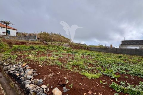 Byhus i Calheta, Madeira, Calheta - € 125.000 | Ref: 051147 - foto 19
