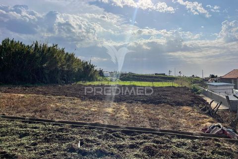 Byhus i Calheta, Madeira, Calheta - € 125.000 | Ref: 051147 - foto 20