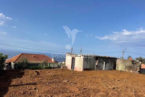 Byhus i Calheta, Madeira, Calheta - € 125.000 | Ref: 051147 - foto 22