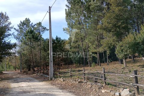 Helårsgrund i Mangualde, Viseu, Mangualde - € 59.500 | Ref: 051413 - foto 1