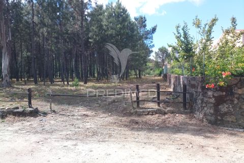 Helårsgrund i Mangualde, Viseu, Mangualde - € 59.500 | Ref: 051413 - foto 2