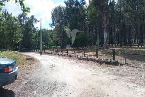 Helårsgrund i Mangualde, Viseu, Mangualde - € 59.500 | Ref: 051413 - foto 3