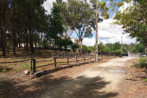 Helårsgrund i Mangualde, Viseu, Mangualde - € 59.500 | Ref: 051413 - foto 5