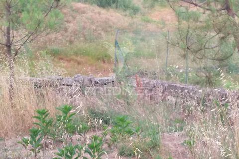 Helårsgrund i Mangualde, Viseu, Mangualde - € 59.500 | Ref: 051413 - foto 6