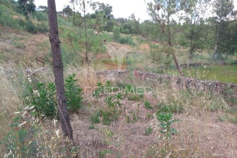 Helårsgrund i Mangualde, Viseu, Mangualde - € 59.500 | Ref: 051413 - foto 7