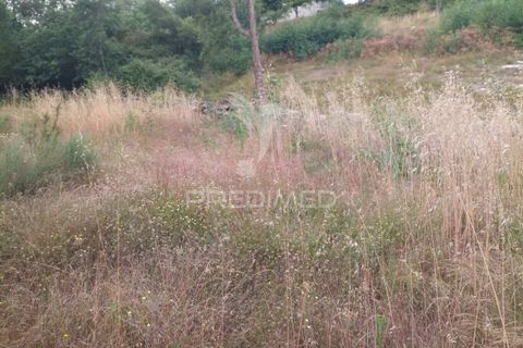 Helårsgrund i Mangualde, Viseu, Mangualde - € 59.500 | Ref: 051413 - foto 8