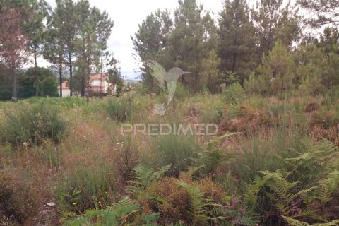 Helårsgrund i Mangualde, Viseu, Mangualde - € 59.500 | Ref: 051413 - foto 9