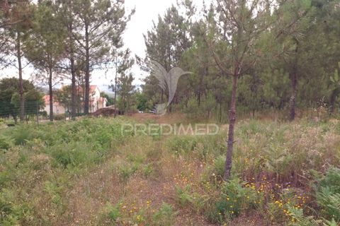 Helårsgrund i Mangualde, Viseu, Mangualde - € 59.500 | Ref: 051413 - foto 10