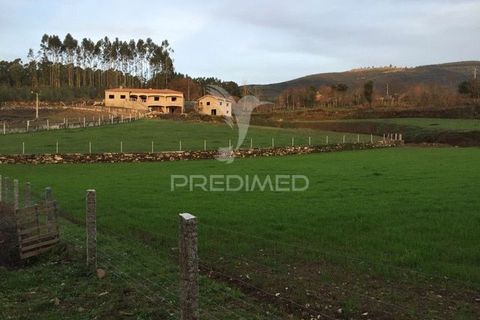 Farm hus i Arouca, Aveiro, Arouca - € 328.500 | Ref: 051620 - foto 4