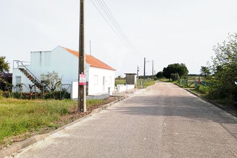Helårsgrund i Alpiarca, Santarem, Alpiarca - € 43.690 | Ref: 051914 - foto 5