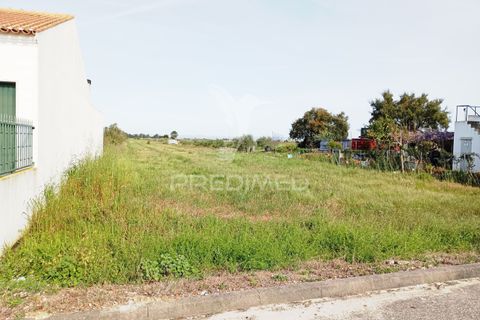 Helårsgrund i Alpiarca, Santarem, Alpiarca - € 43.690 | Ref: 051914 - foto 6