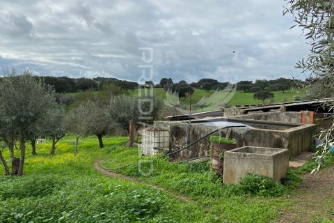Byhus i Alandroal, Evora, Alandroal - € 66.900 | Ref: 052415 - foto 2