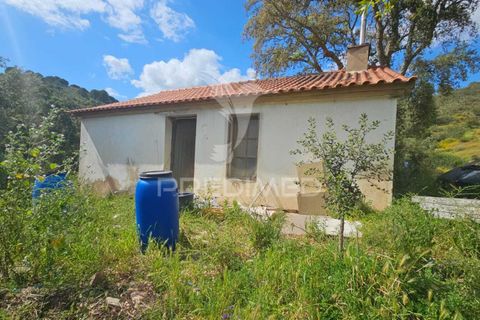 Farm hus i Silves, Faro, Silves - € 175.000 | Ref: 052421 - foto 2