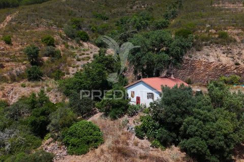 Farm hus i Silves, Faro, Silves - € 175.000 | Ref: 052421 - foto 3