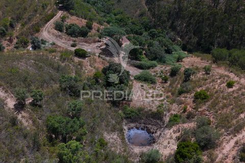 Farm hus i Silves, Faro, Silves - € 175.000 | Ref: 052421 - foto 6