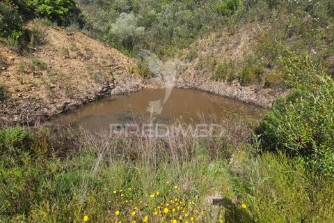 Farm hus i Silves, Faro, Silves - € 175.000 | Ref: 052421 - foto 7