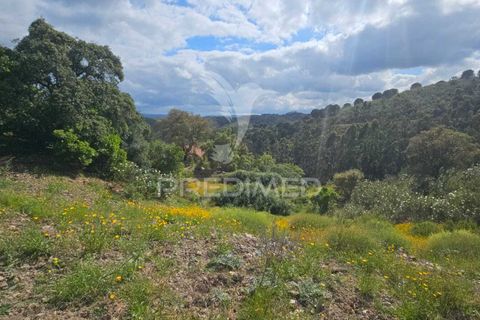Farm hus i Silves, Faro, Silves - € 175.000 | Ref: 052421 - foto 9