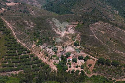 Farm hus i Silves, Faro, Silves - € 175.000 | Ref: 052421 - foto 21