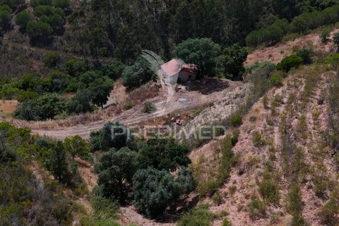 Farm hus i Silves, Faro, Silves - € 175.000 | Ref: 052421 - foto 22