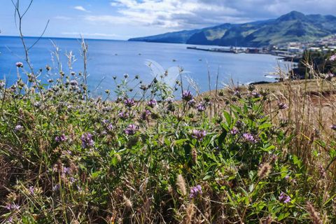 Helårsgrund i Machico, Madeira, Machico - € 1.600.000 | Ref: 052550 - foto 3