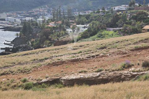 Helårsgrund i Machico, Madeira, Machico - € 1.600.000 | Ref: 052550 - foto 9