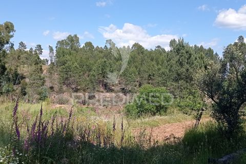 Ruïna a Macao, Santarem, Macao - € 39.000 | Ref: 052832 - foto 3