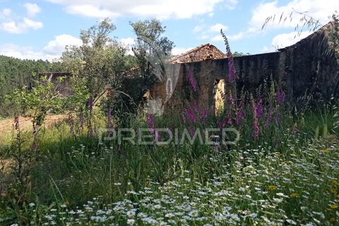 Ruïna a Macao, Santarem, Macao - € 39.000 | Ref: 052832 - foto 4