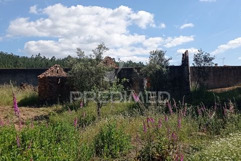 Ruïna a Macao, Santarem, Macao - € 39.000 | Ref: 052832 - foto 5