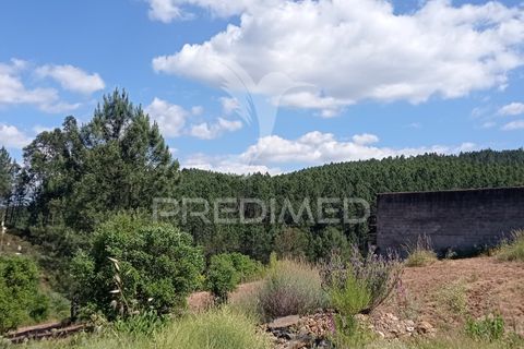 Ruïna a Macao, Santarem, Macao - € 39.000 | Ref: 052832 - foto 6