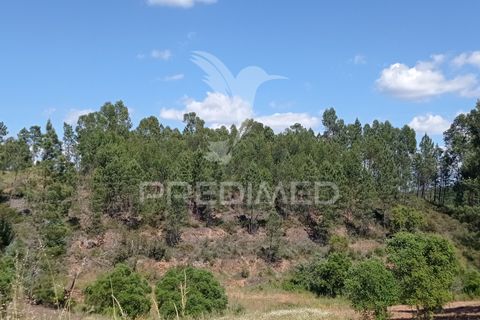 Ruïna a Macao, Santarem, Macao - € 39.000 | Ref: 052832 - foto 7