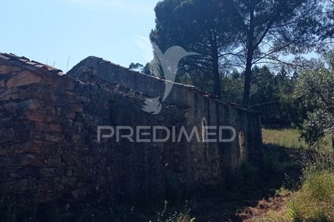 Ruïna a Macao, Santarem, Macao - € 39.000 | Ref: 052832 - foto 10